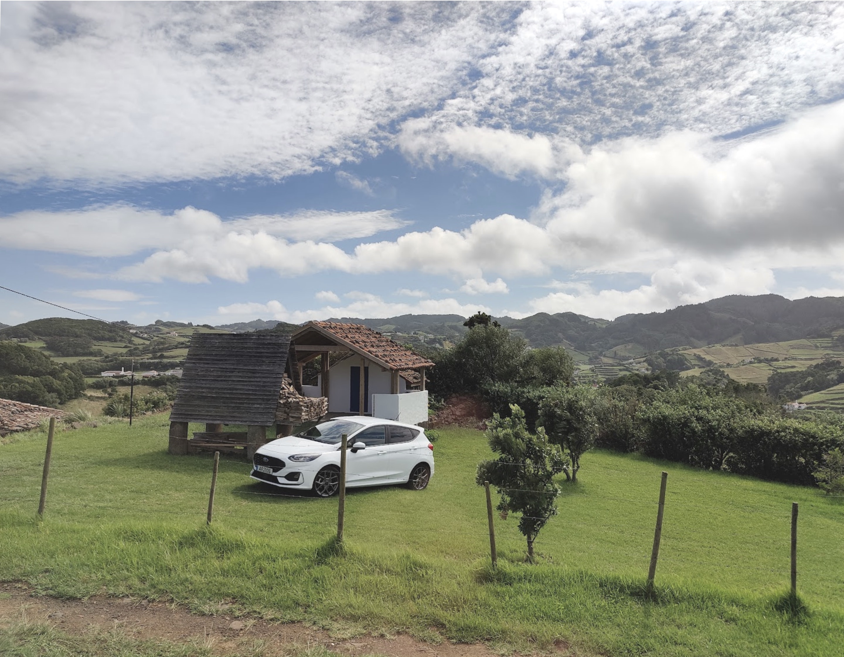 a white car parker on a green garden next to a wooden storage